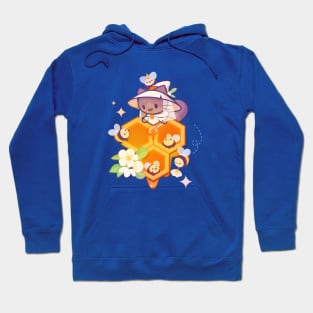 Honey Mage Cat Hoodie